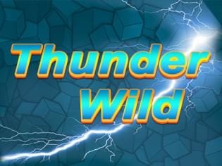 Thunder Wild