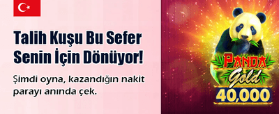 Hızlı Çekim ve Güvenli Oyun banner